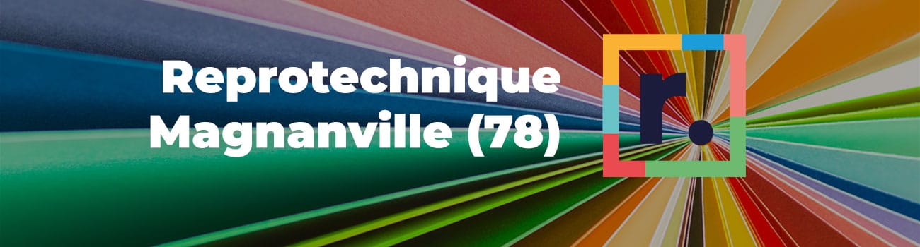 Logo de Reprotechnique imprimeur Yvelines sur Palette de couleurs.